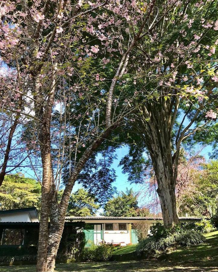 Pinheiros Do Rocio Hotel Petrópolis Екстериор снимка