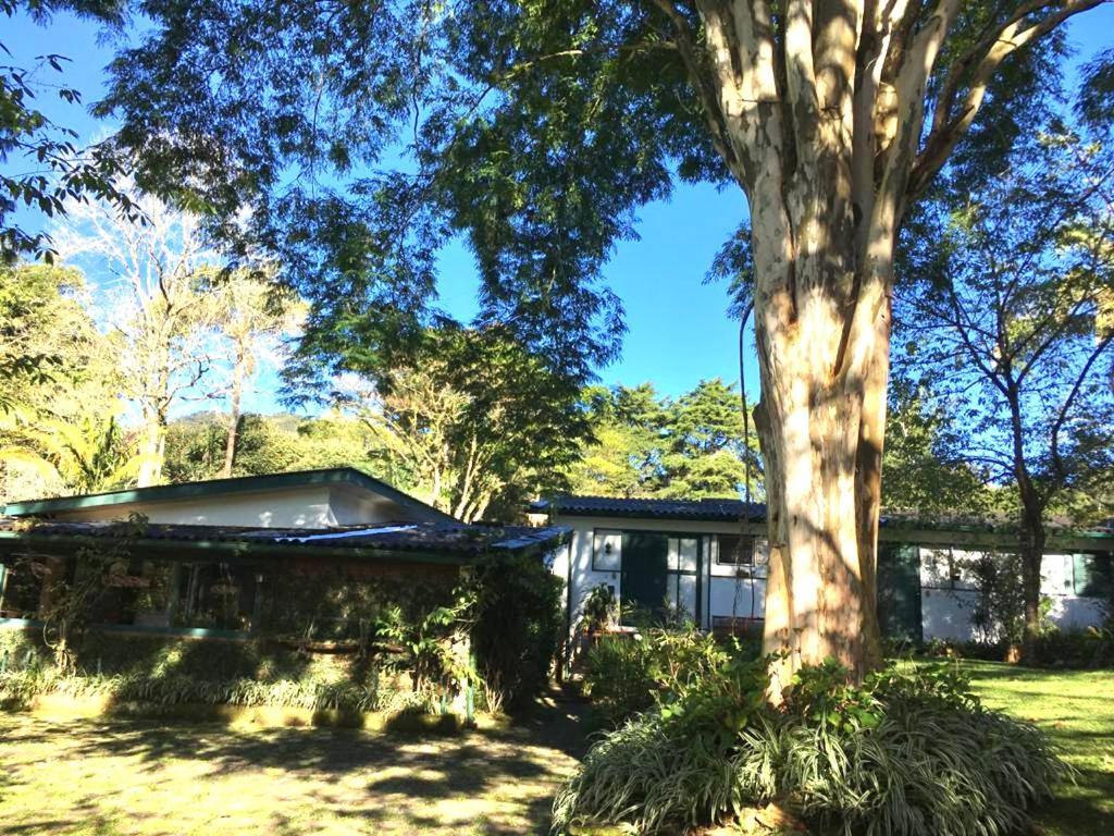 Pinheiros Do Rocio Hotel Petrópolis Екстериор снимка