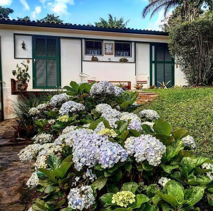 Pinheiros Do Rocio Hotel Petrópolis Екстериор снимка