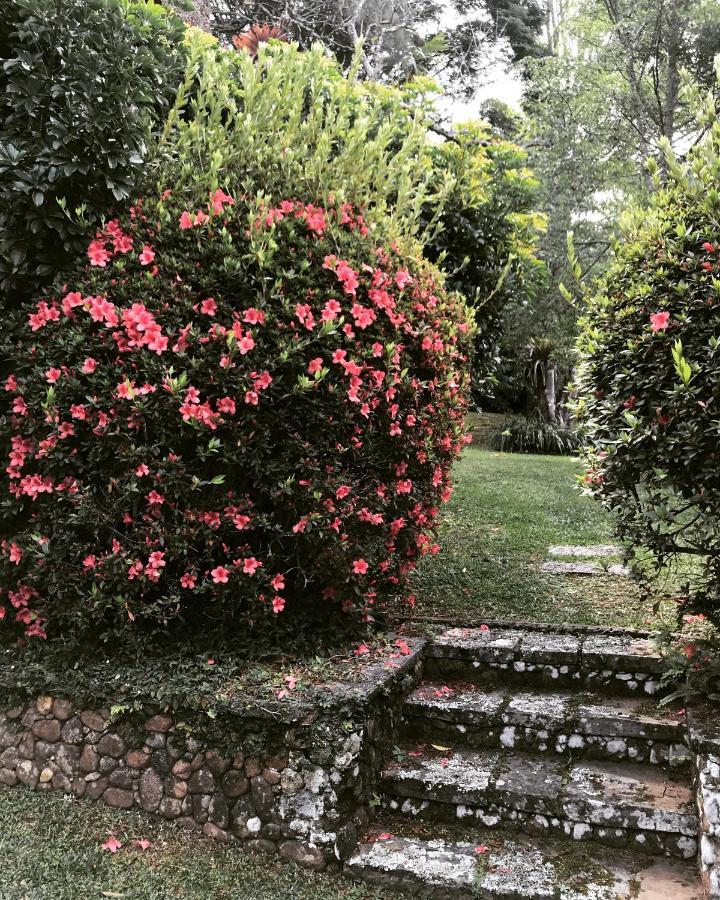 Pinheiros Do Rocio Hotel Petrópolis Екстериор снимка