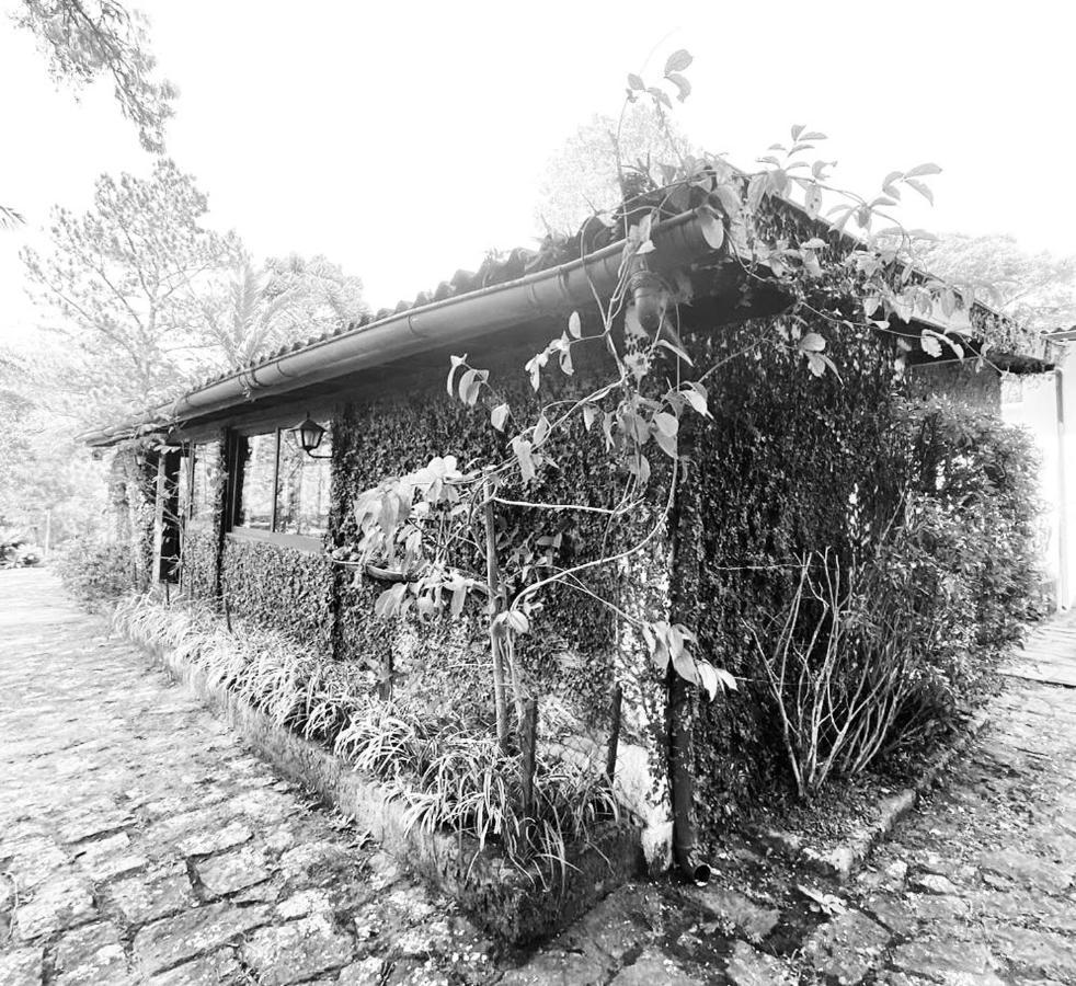 Pinheiros Do Rocio Hotel Petrópolis Екстериор снимка