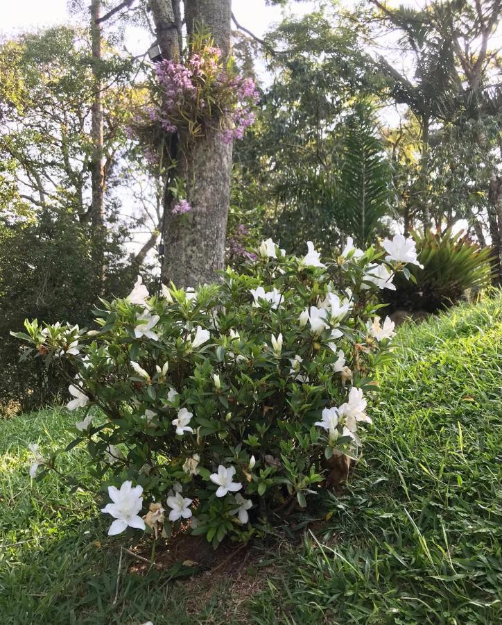 Pinheiros Do Rocio Hotel Petrópolis Екстериор снимка