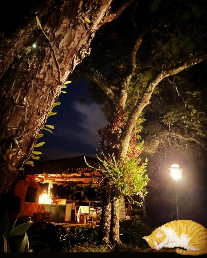 Pinheiros Do Rocio Hotel Petrópolis Екстериор снимка