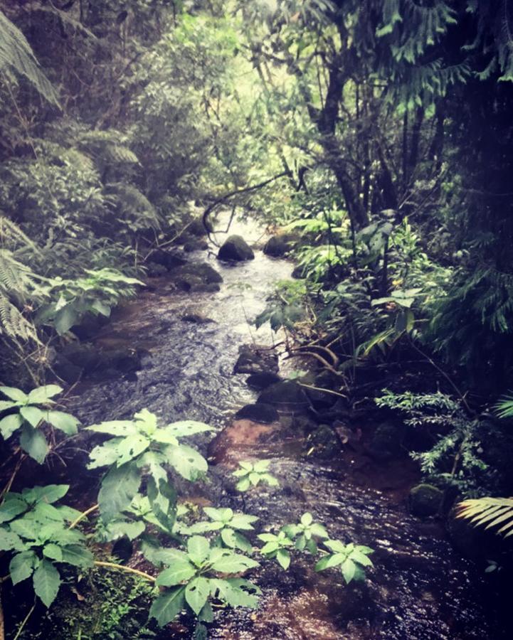 Pinheiros Do Rocio Hotel Petrópolis Екстериор снимка
