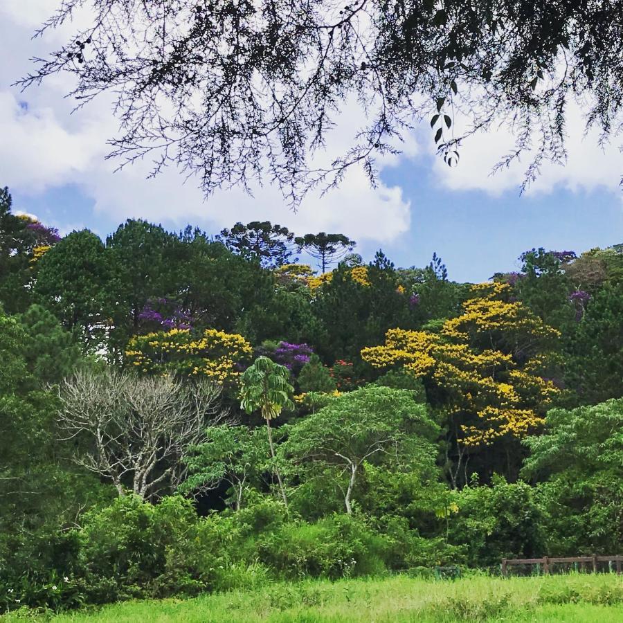 Pinheiros Do Rocio Hotel Petrópolis Екстериор снимка