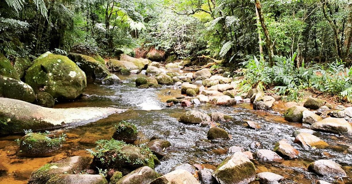 Pinheiros Do Rocio Hotel Petrópolis Екстериор снимка
