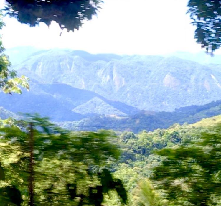 Pinheiros Do Rocio Hotel Petrópolis Екстериор снимка